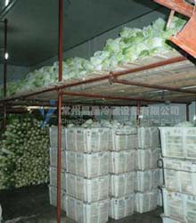 Vegetable cold storage