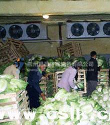 Vegetable cold storage