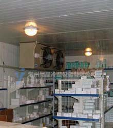 Vaccine cold storage