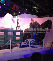 水立方冰雕冷库